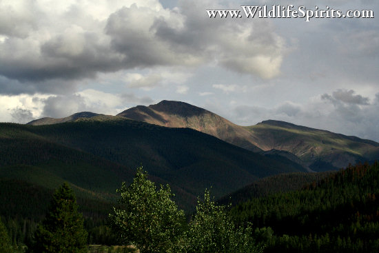 Click Picture to send as an  E-PostCard 60k 550x367